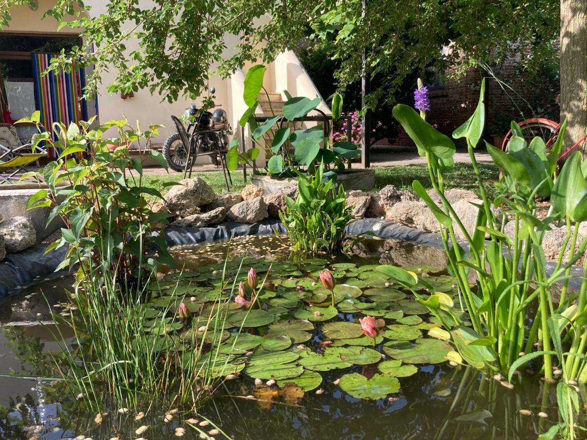 Casa Del Geco Bed & Breakfast Paestum Luaran gambar