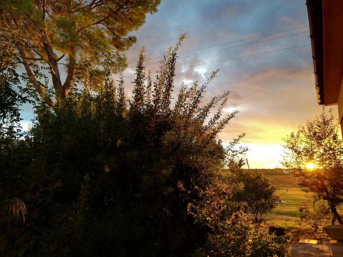 Casa Del Geco Bed & Breakfast Paestum Luaran gambar