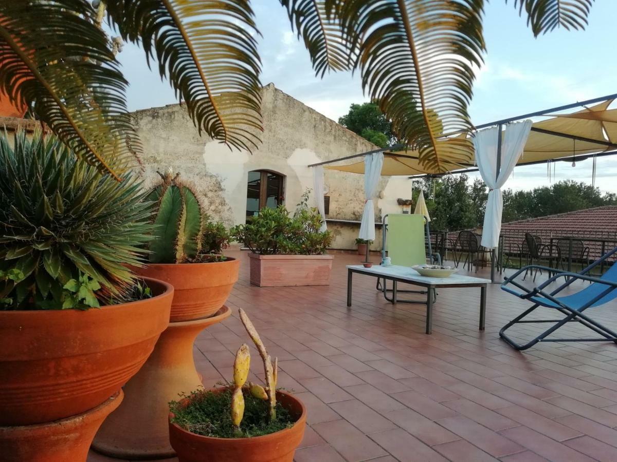 Casa Del Geco Bed & Breakfast Paestum Luaran gambar
